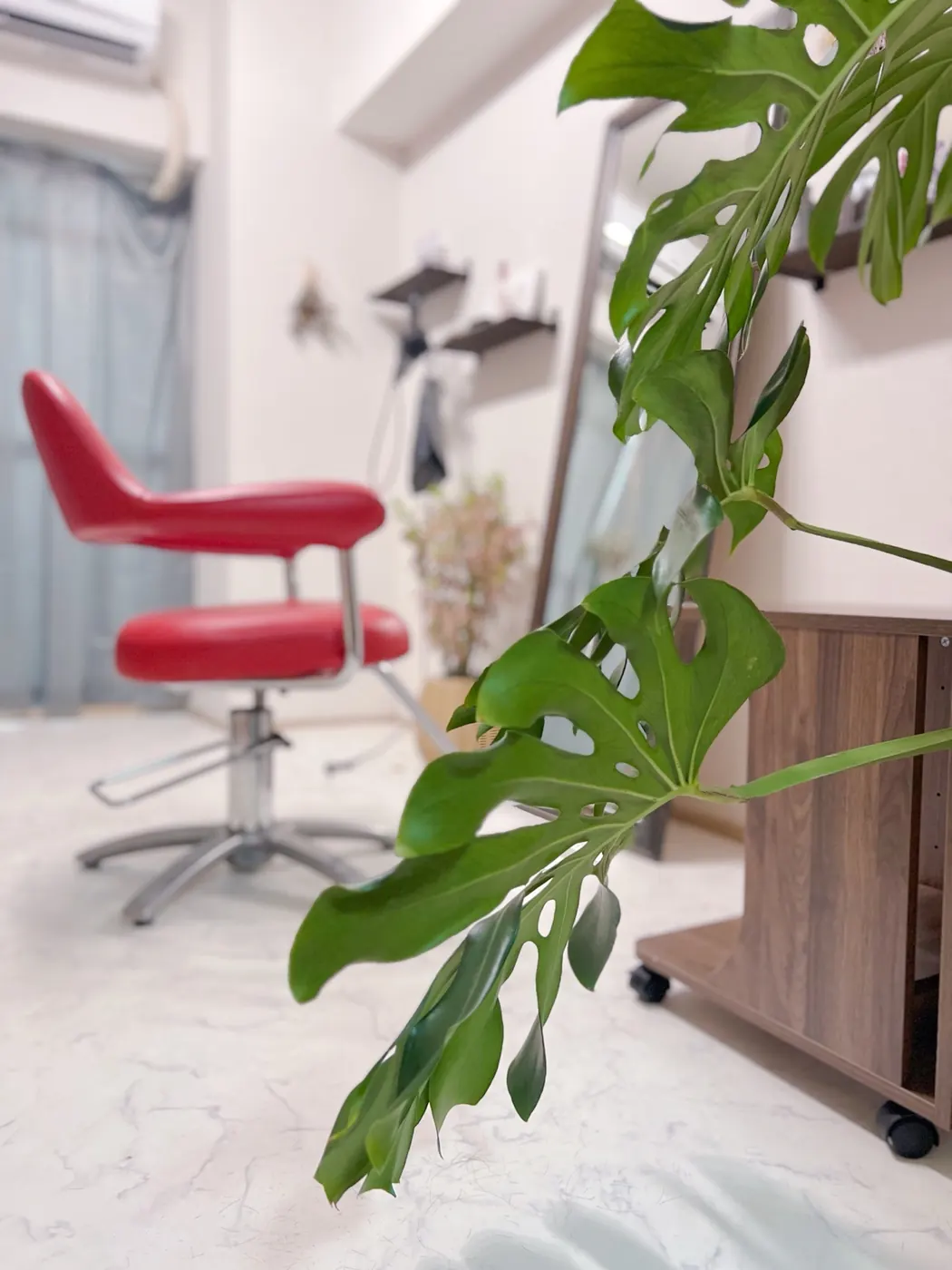 観葉植物越しに見える赤いセットチェア